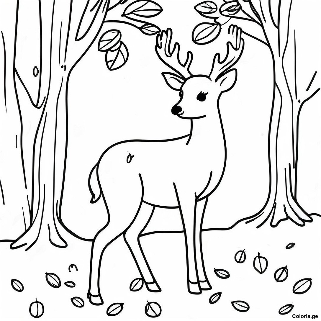 Page à colorier Cerf Réaliste Dans Les Feuilles D'automne Page À Colorier imprimable gratuitement de la collection Animaux — dessin en noir et blanc pour enfants et adultes.
