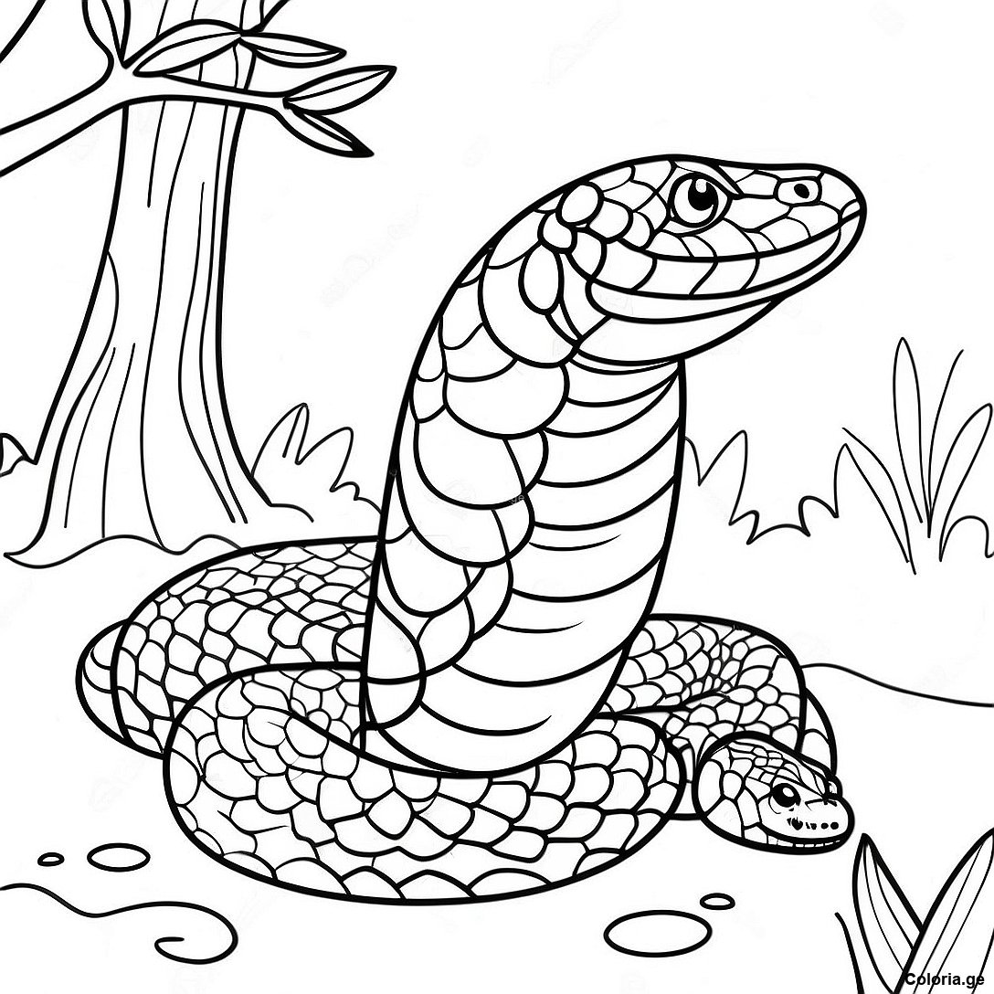 Page à colorier Page De Coloriage Anaconda Réaliste Dans La Jungle imprimable gratuitement de la collection Animaux — dessin en noir et blanc pour enfants et adultes.