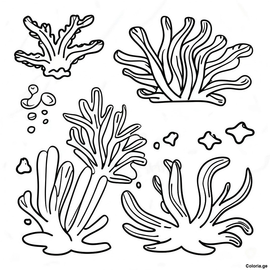 Page à colorier Page De Coloriage D'algues Réalistes Dans L'océan imprimable gratuitement de la collection Divers — dessin en noir et blanc pour enfants et adultes.