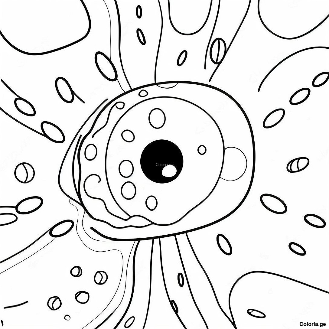 Page à colorier Page De Coloriage De Cellule Végétale Réaliste imprimable gratuitement de la collection Éducatif — dessin en noir et blanc pour enfants et adultes.