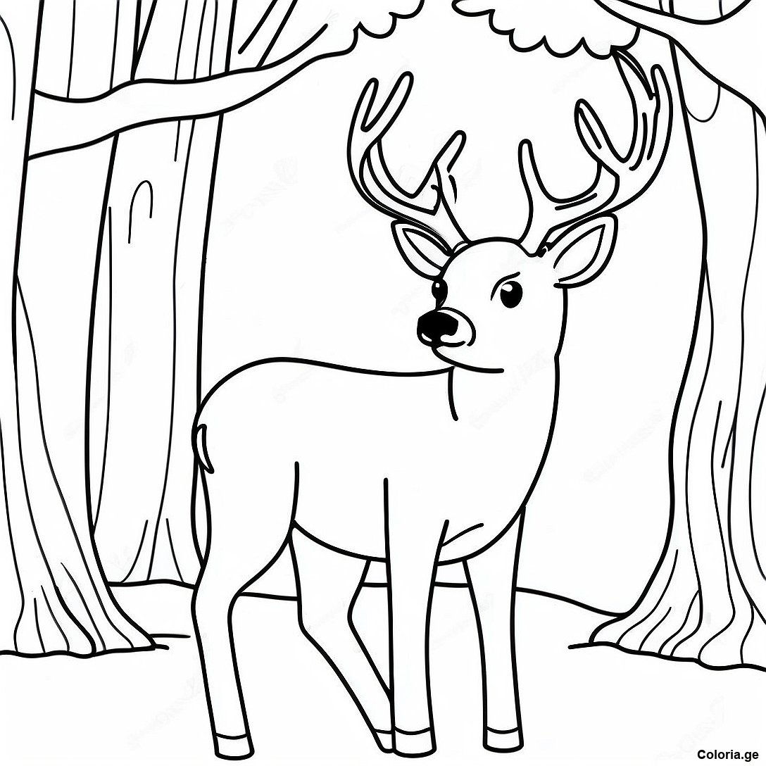 Page à colorier Page De Coloriage De Cerf Mâle Réaliste imprimable gratuitement de la collection Animaux — dessin en noir et blanc pour enfants et adultes.