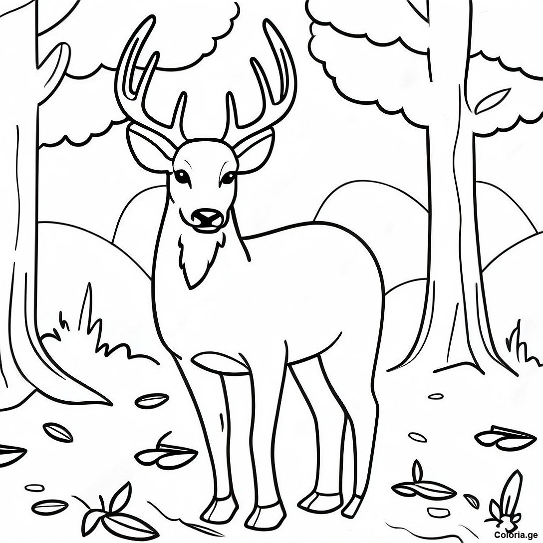 Page De Coloriage De Cerf Realiste En Automne 115099 50775
