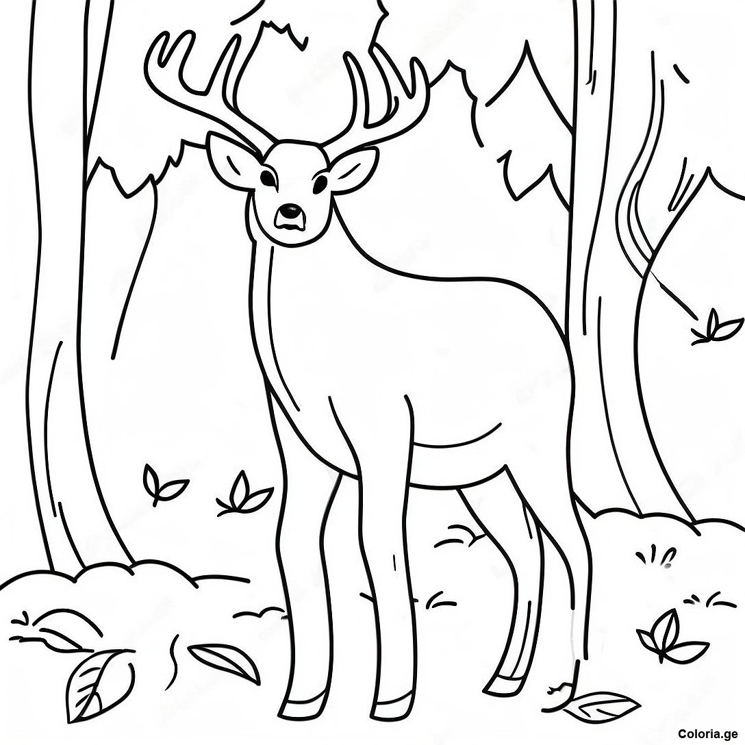 Page De Coloriage De Cerf Realiste En Automne 115099 50776