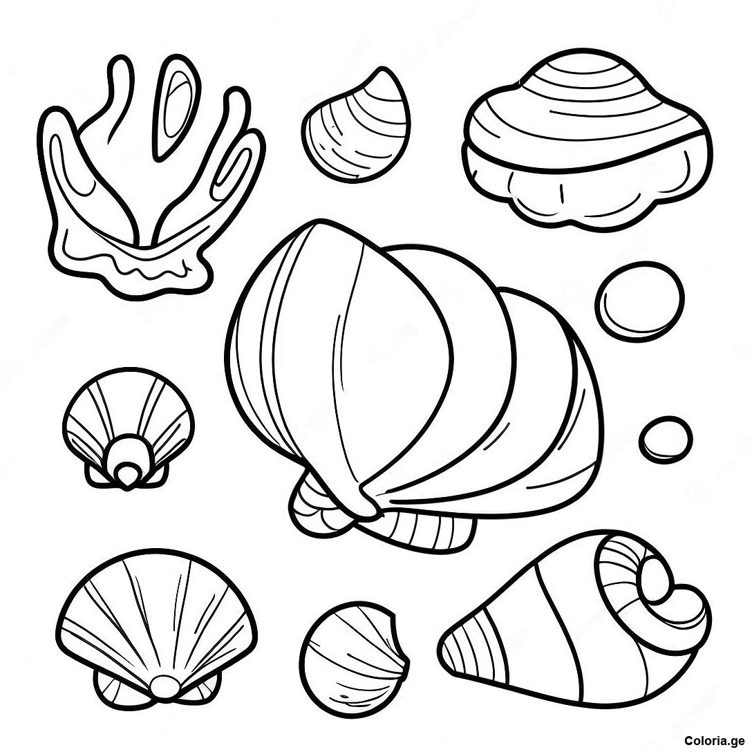 Page à colorier Page De Coloriage De Coquillages Océaniques Réalistes imprimable gratuitement de la collection Nature — dessin en noir et blanc pour enfants et adultes.