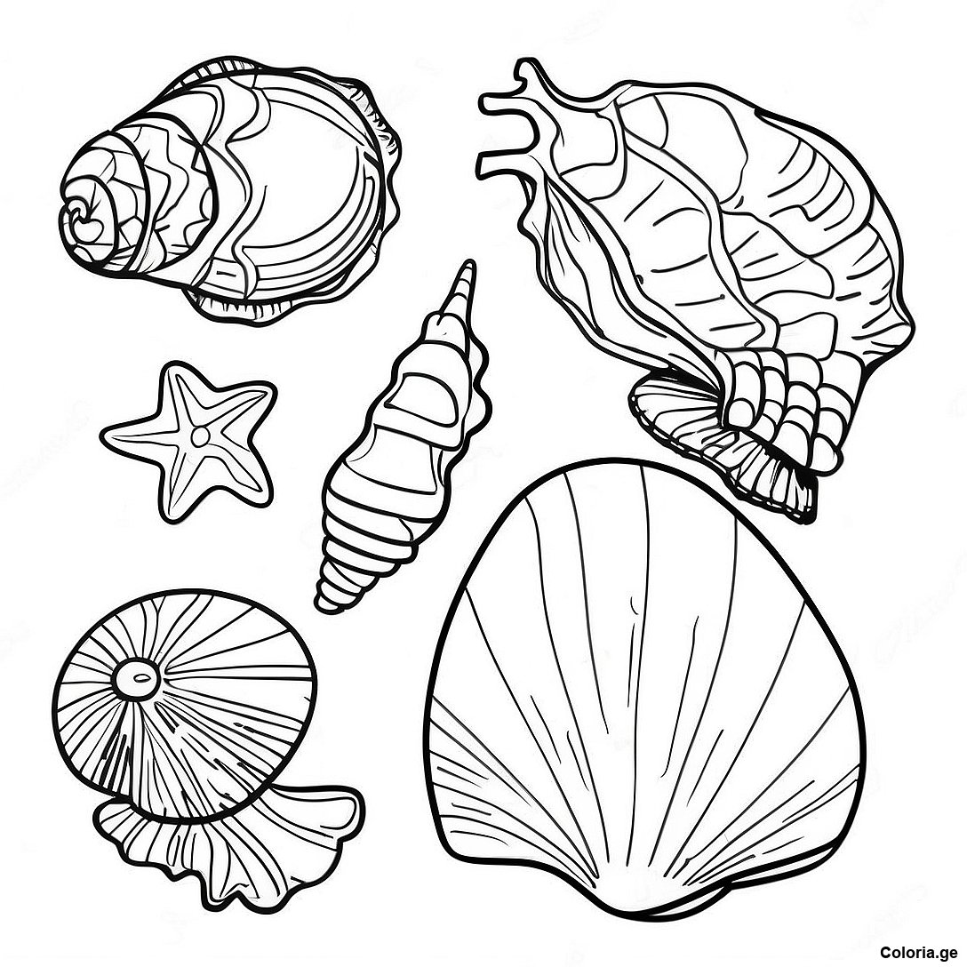 Page à colorier Page De Coloriage De Coquillages Océaniques Réalistes imprimable gratuitement de la collection Nature — dessin en noir et blanc pour enfants et adultes.