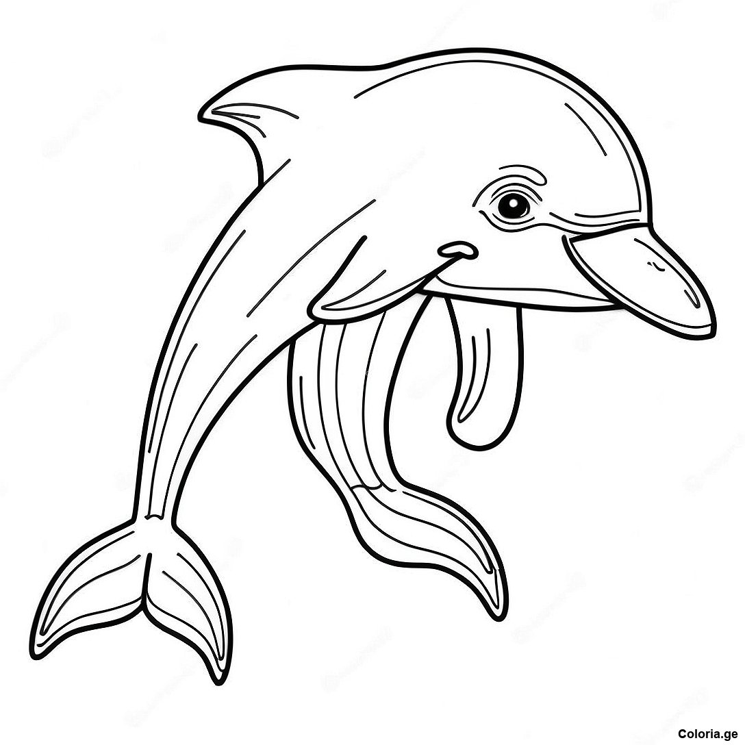 Page à colorier Page De Coloriage De Dauphin Réaliste imprimable gratuitement de la collection Divers — dessin en noir et blanc pour enfants et adultes.