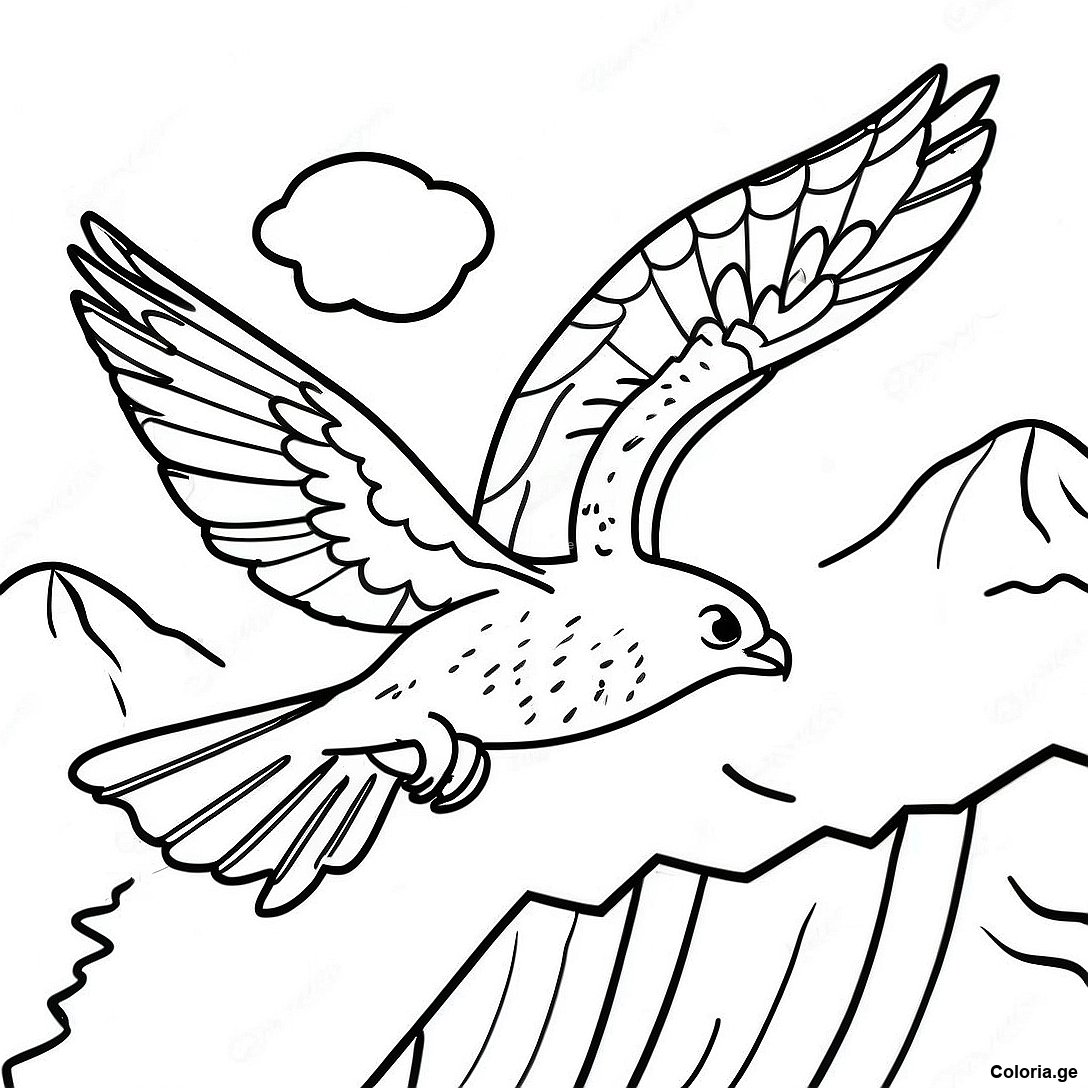 Page à colorier Page De Coloriage De Faucon Pèlerin Planant Au-Dessus Des Montagnes imprimable gratuitement de la collection Animaux — dessin en noir et blanc pour enfants et adultes.