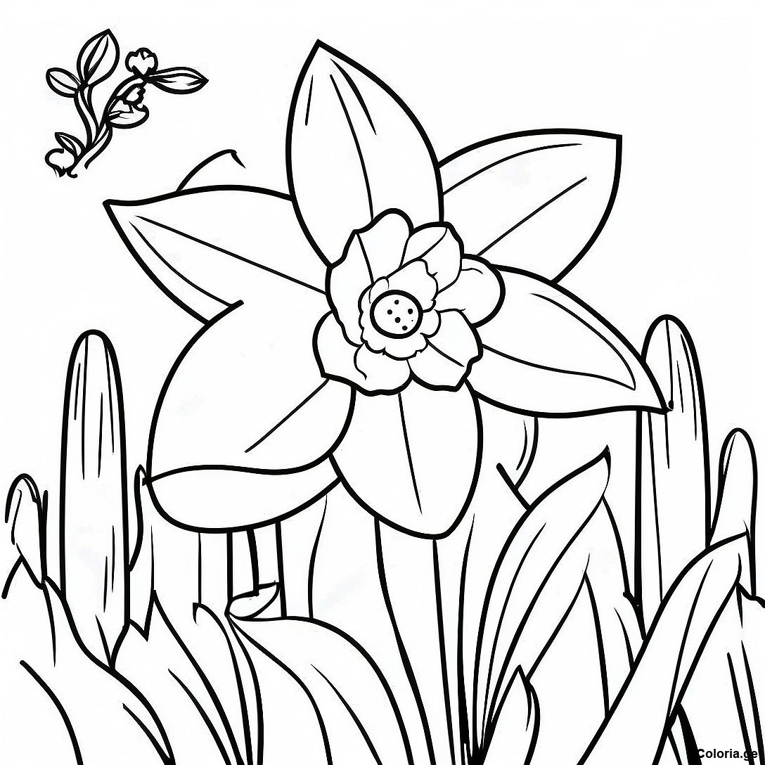 Page à colorier Page De Coloriage De Jonquille Réaliste Dans Le Jardin imprimable gratuitement de la collection Nature — dessin en noir et blanc pour enfants et adultes.
