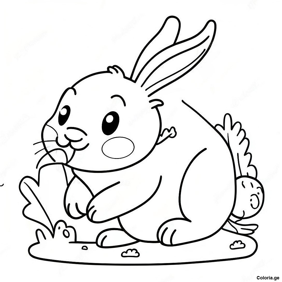 Page De Coloriage De Lapin Realiste Duveteux Avec Des Carottes 135979 67712