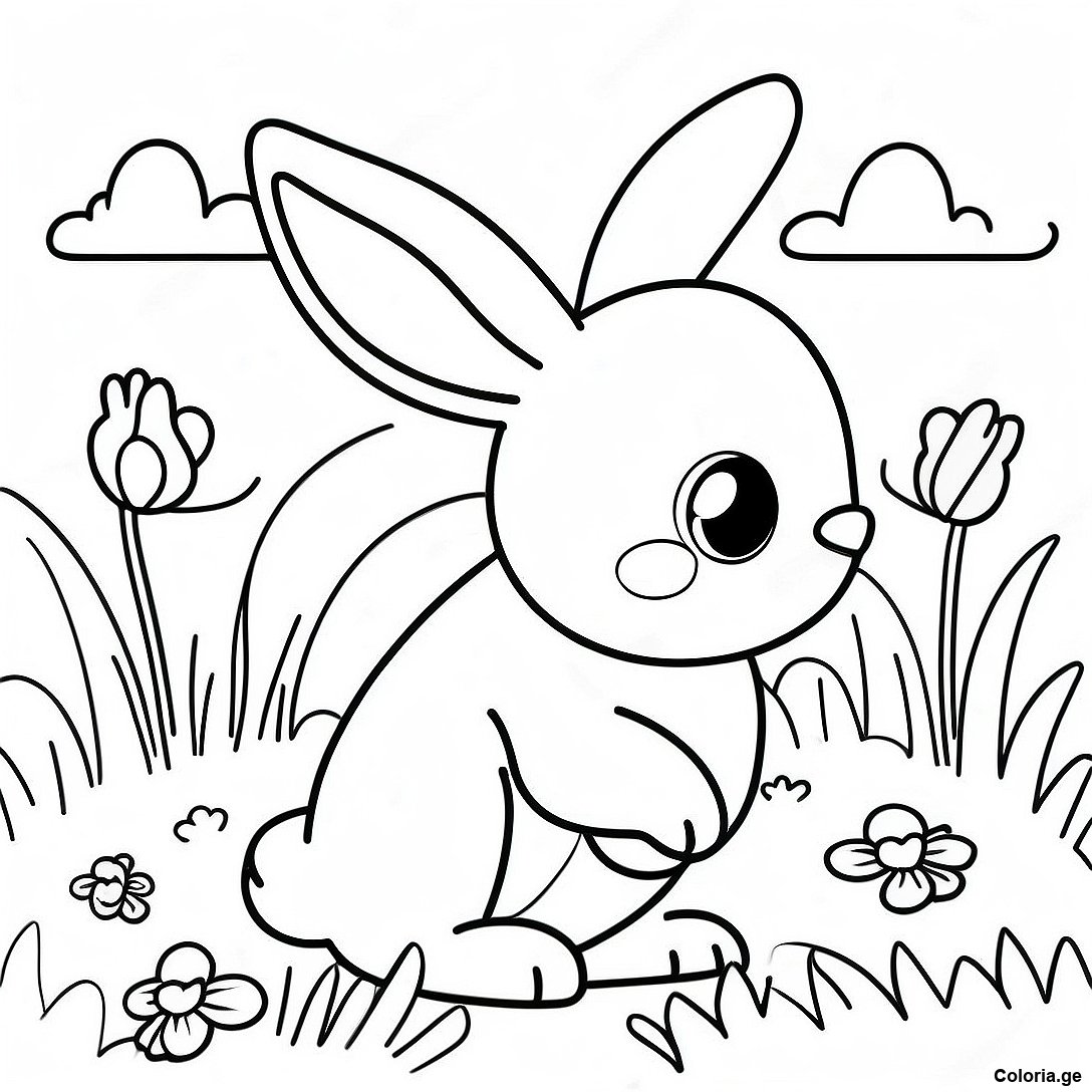 Page De Coloriage De Lapin Realiste Joueur Dans Le Pre 135981 67719