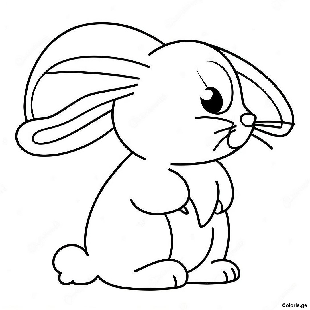 Page De Coloriage De Lapin Realiste 135977 67703
