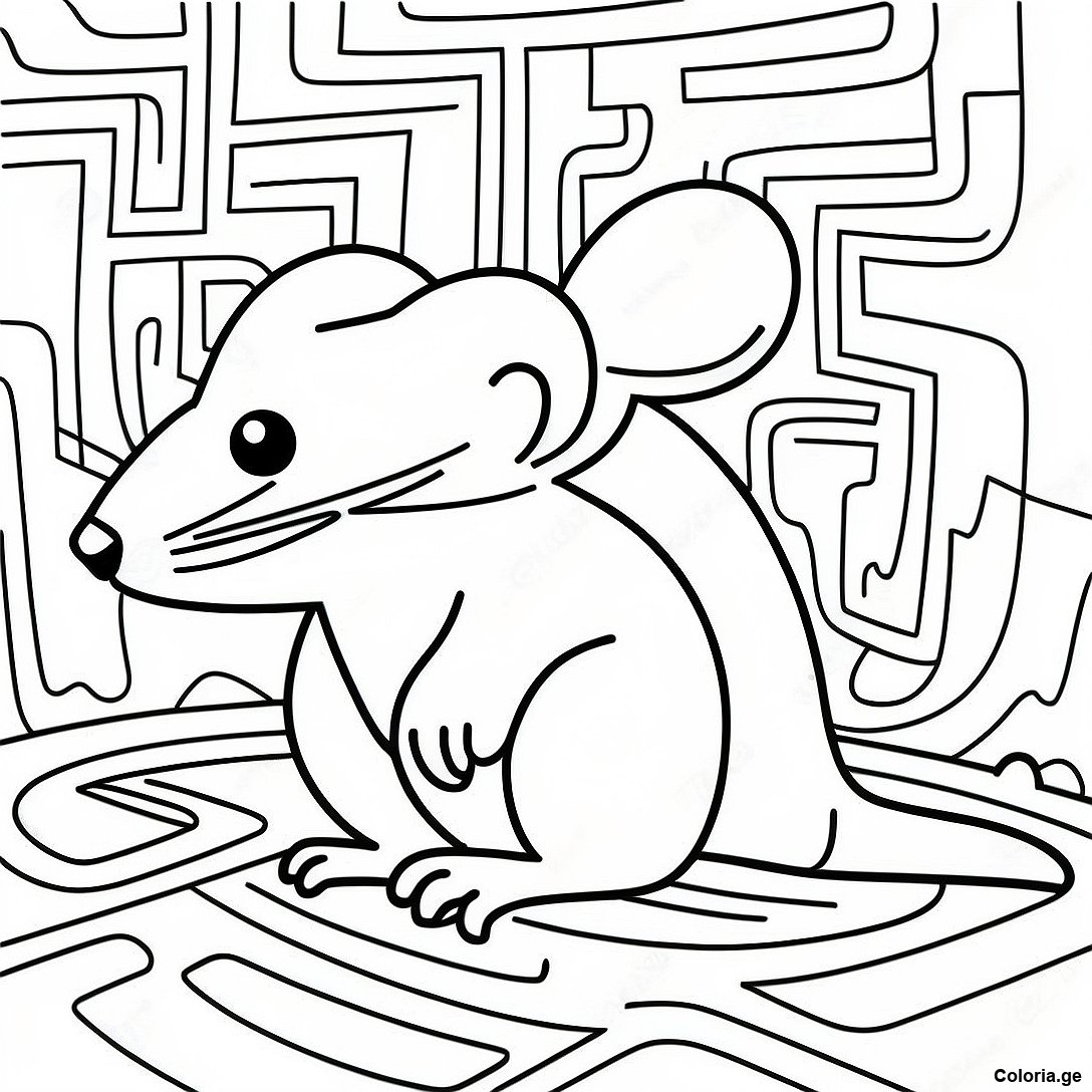 Page à colorier Page De Coloriage De Rat Réaliste Dans Un Labyrinthe imprimable gratuitement de la collection Animaux — dessin en noir et blanc pour enfants et adultes.