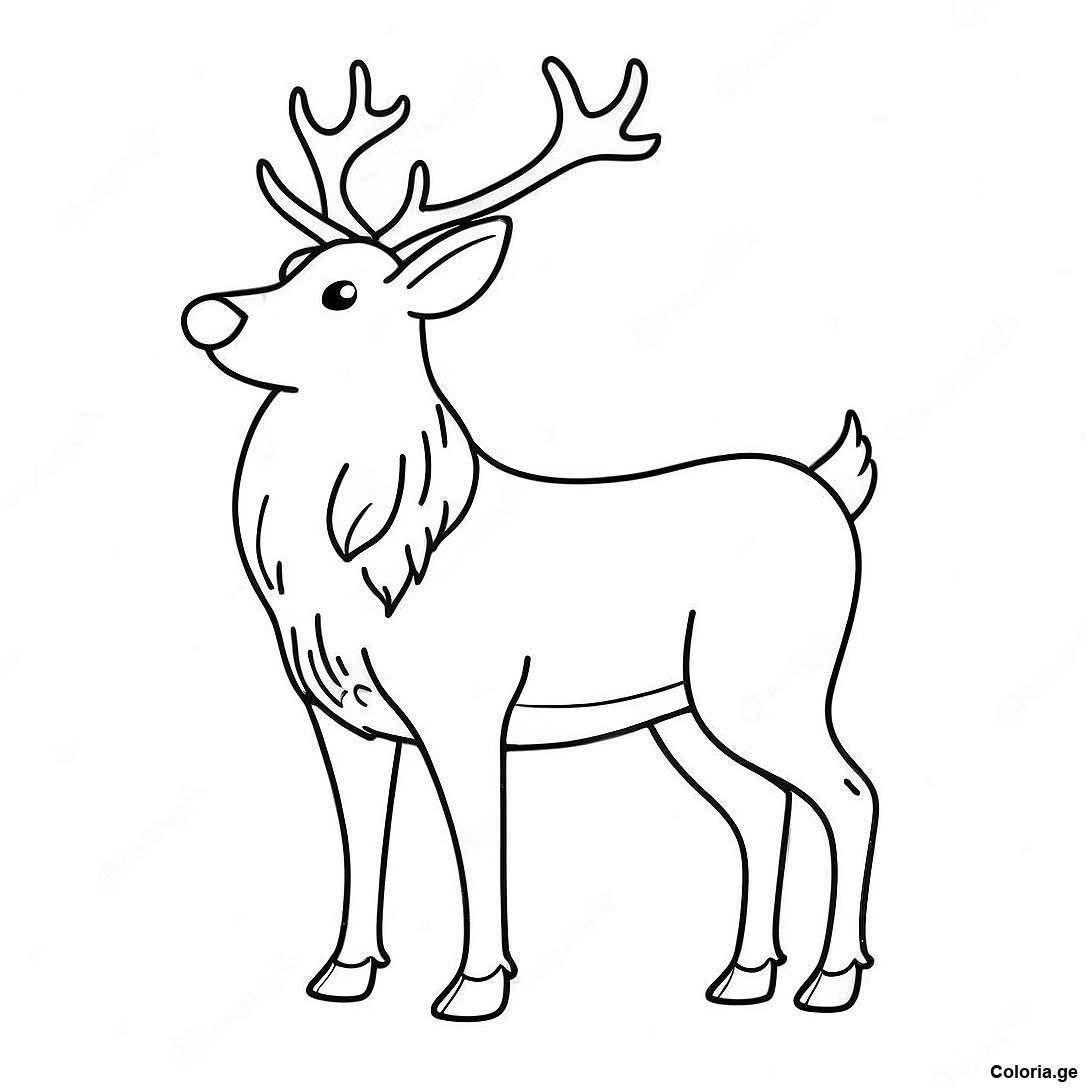 Page à colorier Page De Coloriage De Renne Réaliste Majestueux imprimable gratuitement de la collection Divers — dessin en noir et blanc pour enfants et adultes.