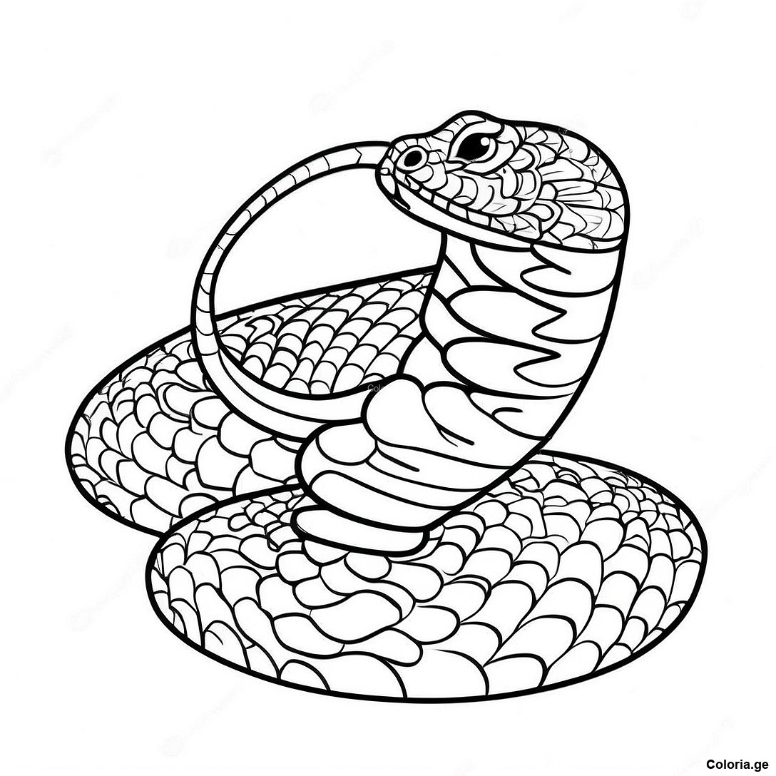 Page à colorier Page De Coloriage De Serpent Réaliste imprimable gratuitement de la collection Animaux — dessin en noir et blanc pour enfants et adultes.