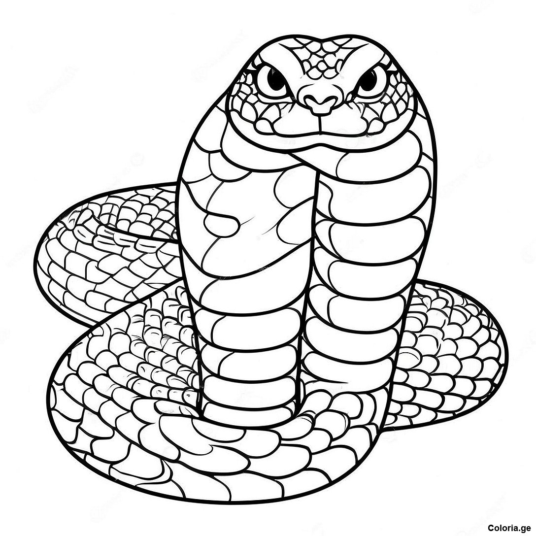Page à colorier Page De Coloriage De Serpent Réaliste imprimable gratuitement de la collection Animaux — dessin en noir et blanc pour enfants et adultes.