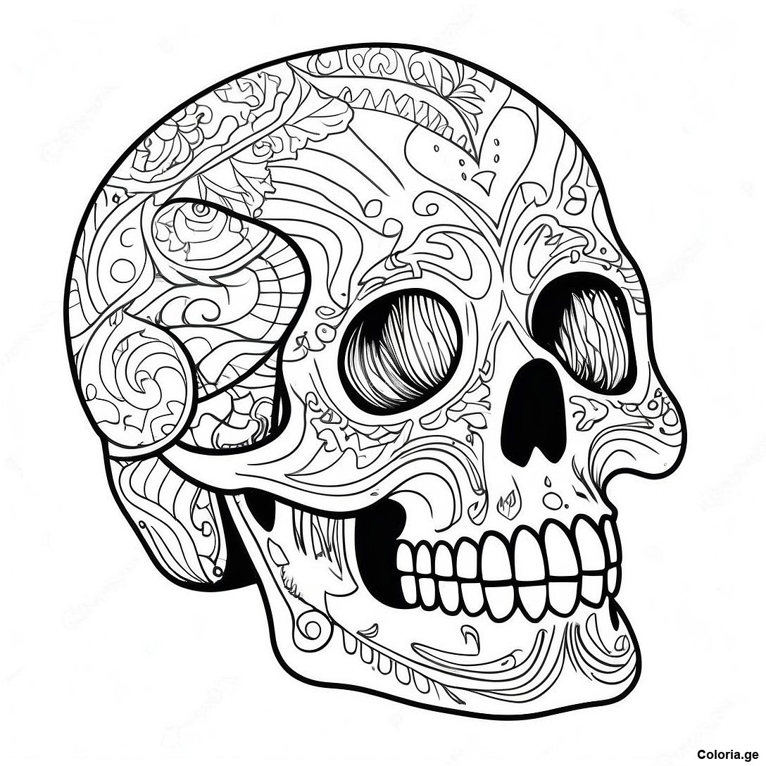 Page De Coloriage De Structure De Crane Realiste 122299 56860