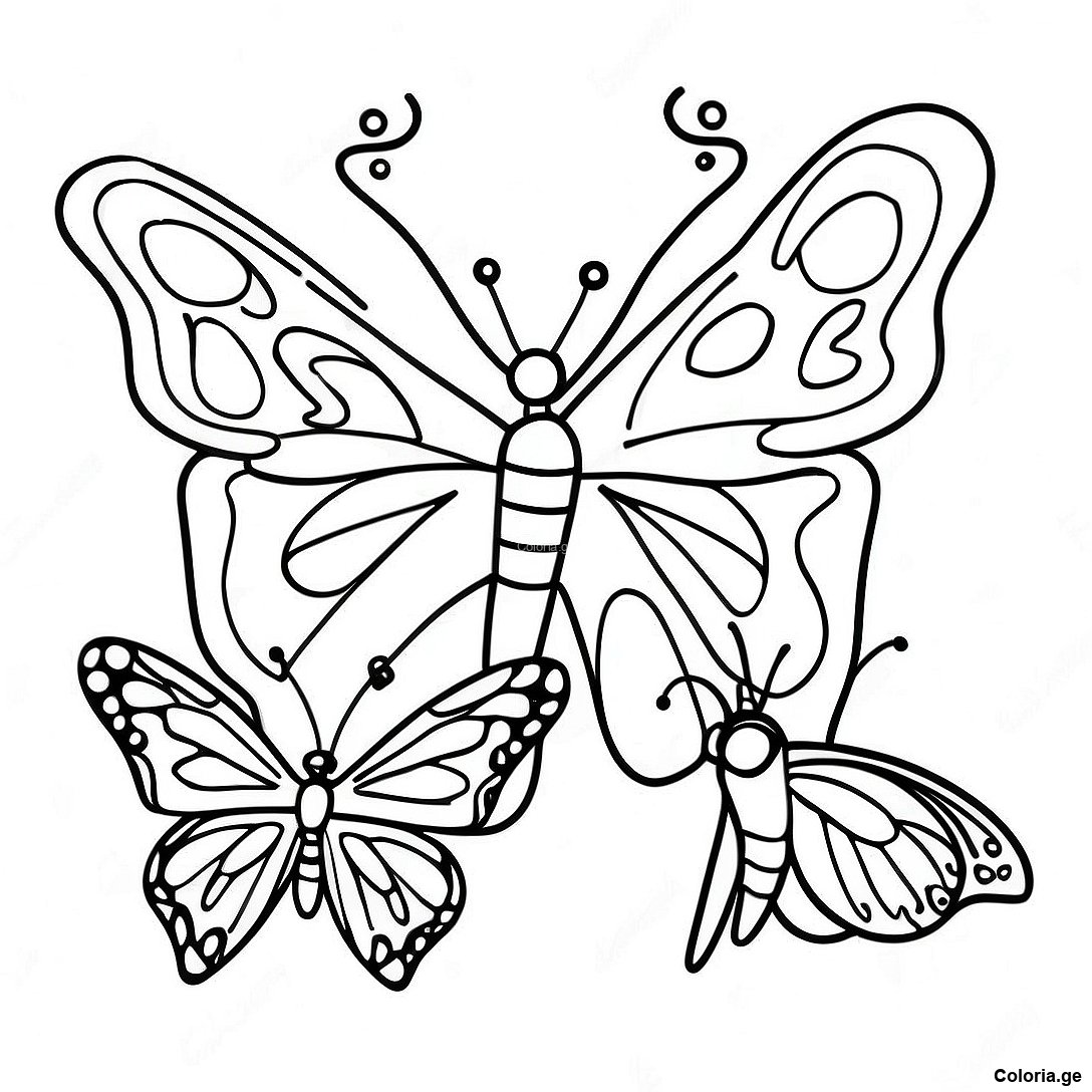 Page à colorier Page De Coloriage Du Cycle De Vie Du Papillon Réaliste imprimable gratuitement de la collection Animaux — dessin en noir et blanc pour enfants et adultes.