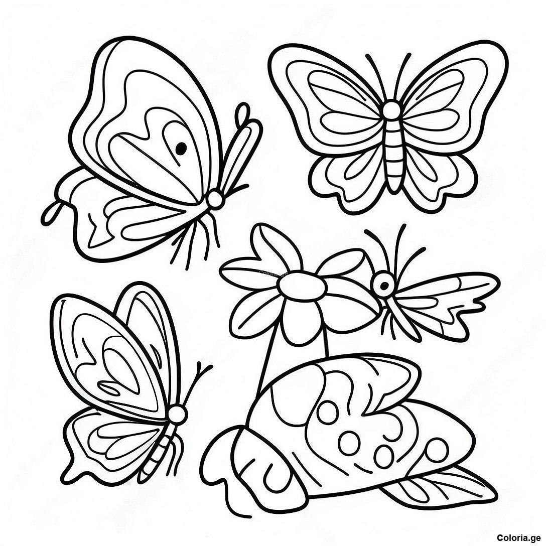 Page à colorier Page De Coloriage Du Cycle De Vie Du Papillon Réaliste imprimable gratuitement de la collection Animaux — dessin en noir et blanc pour enfants et adultes.