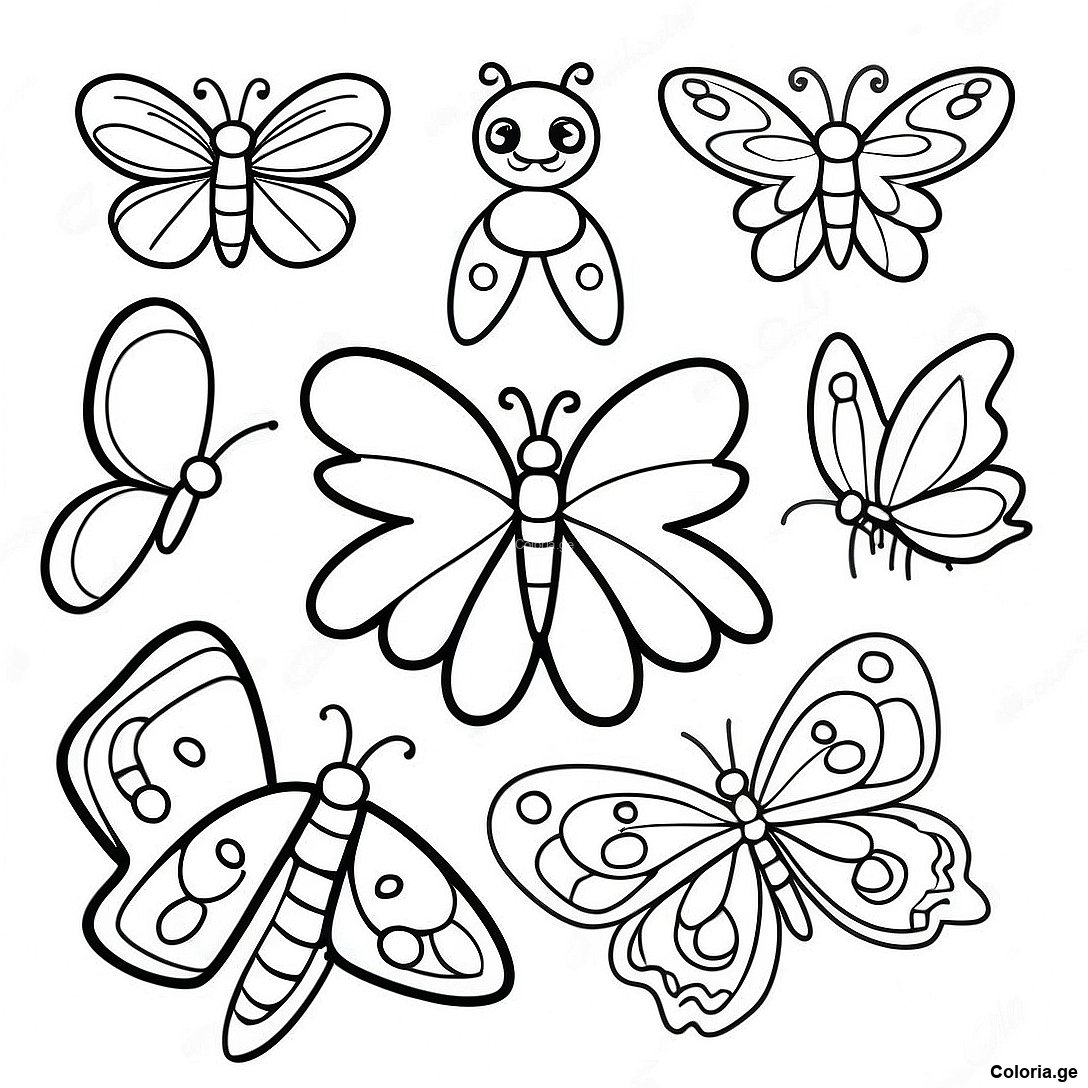 Page à colorier Page De Coloriage Du Cycle De Vie Du Papillon Réaliste imprimable gratuitement de la collection Animaux — dessin en noir et blanc pour enfants et adultes.