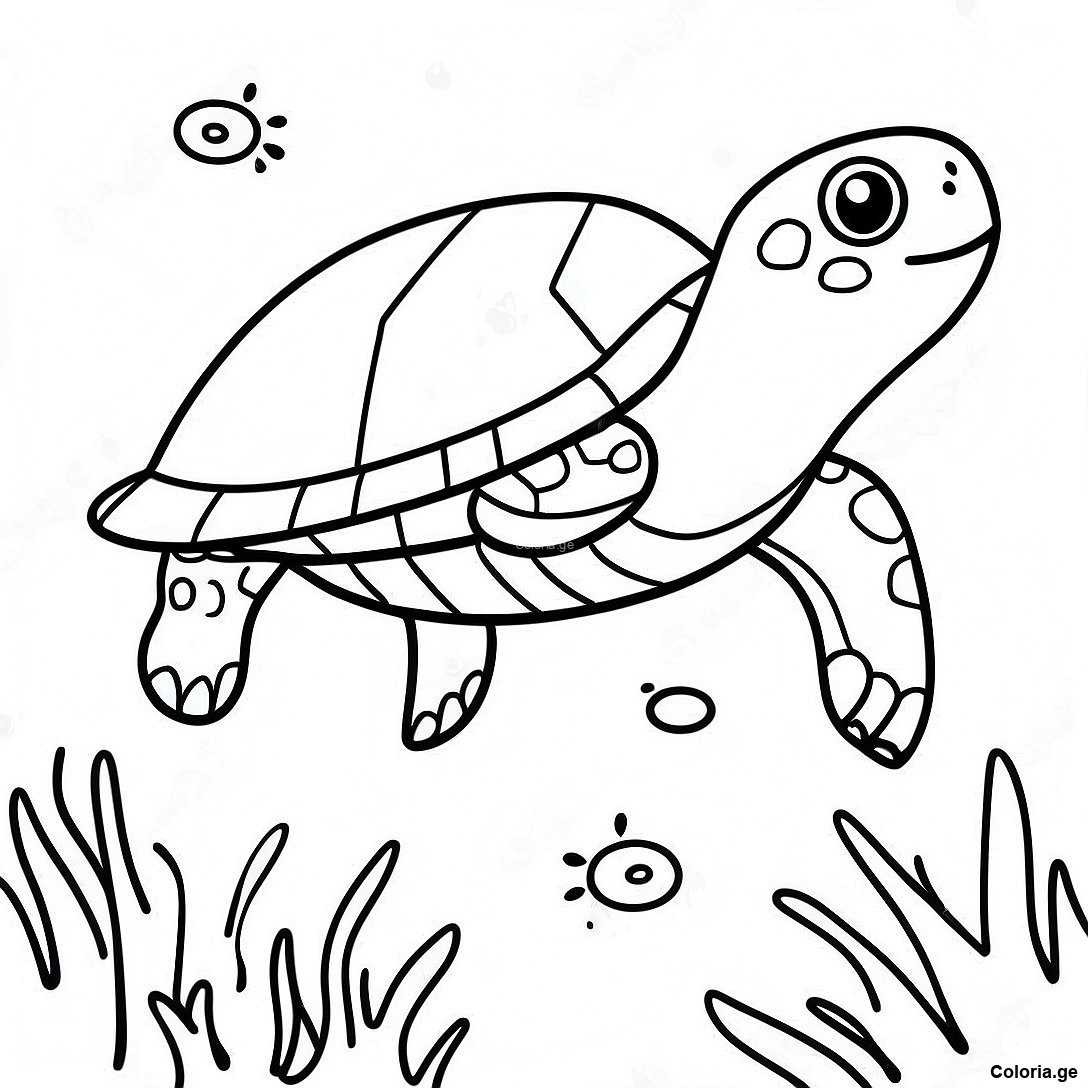 Page De Coloriage Realiste De Tortue De Mer Sous Leau 101293 39802