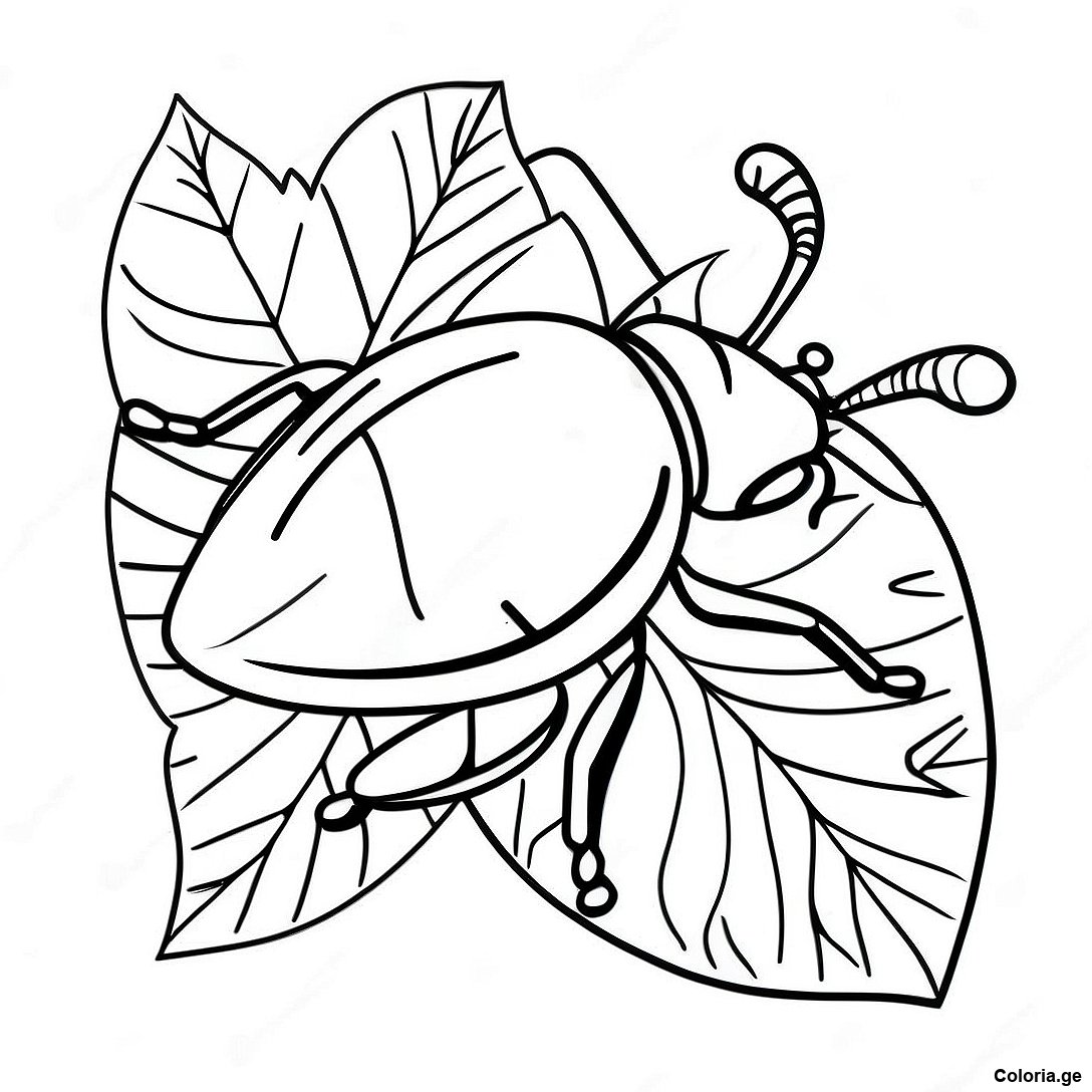 Page à colorier Scarabe Réaliste Sur Une Feuille Page À Colorier imprimable gratuitement de la collection Animaux — dessin en noir et blanc pour enfants et adultes.
