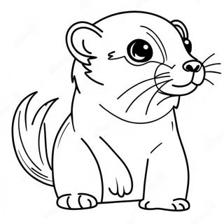 Furet Pages À Colorier