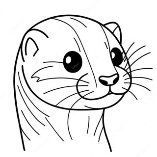 Page De Coloriage Furet 103145-41235