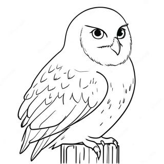 Page De Coloriage De Hedwig 105871-43366