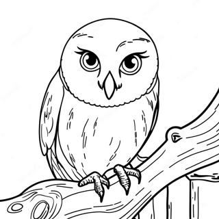 Page De Coloriage De Hedwig 105871-43367