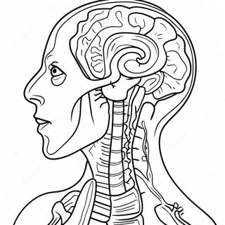 Anatomie Et Physiologie Pages À Colorier