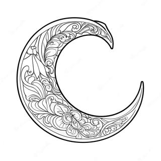 Page De Coloriage De Lune Croissante Elegante 109494-46258