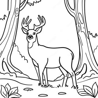 Page De Coloriage De Cerf Majestueux Dans La Foret 115096 50764