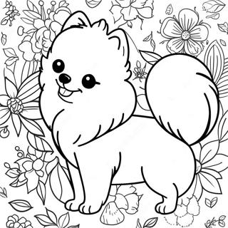 Page De Coloriage De Pomeranian 118573-53722