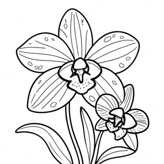 Page A Colorier Dorchidee Rose Delicate 120557-55282