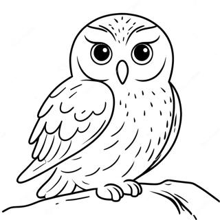 Chouette Des Neiges Charmante Page De Coloriage 123432 57747