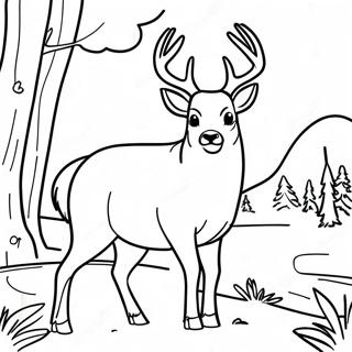 Cerf Réaliste Buck Pages À Colorier