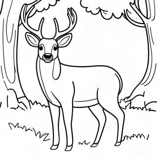 Page De Coloriage De Cerf Male Realiste 131229-64006