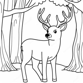 Page De Coloriage De Cerf Male Realiste 131229-64008