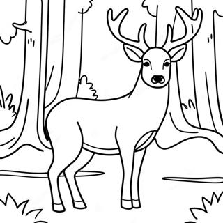 Page De Coloriage De Cerf Male Majestueux Dans La Foret 131230-64009