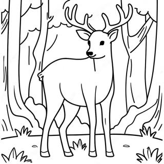 Page De Coloriage De Cerf Male Majestueux Dans La Foret 131230-64010