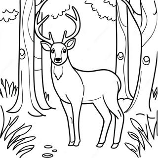 Cerf Majestueux Dans Une Foret Page A Colorier 18899-4122