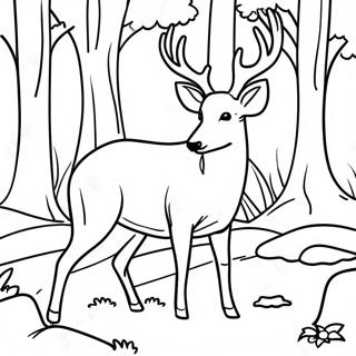 Cerf Majestueux Dans Une Foret Page A Colorier 18899-4123