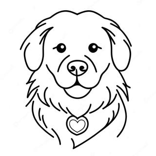 Page A Colorier Dun Golden Retriever Duveteux 1901-2154