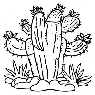 Page A Colorier De Cactus Du Desert 26621-5803