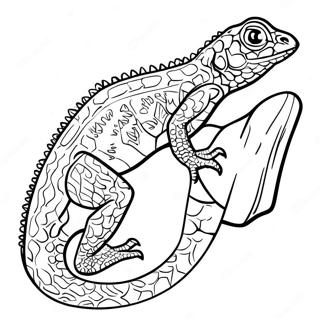 Page A Colorier De Lezard Vert Realiste 27194 5923