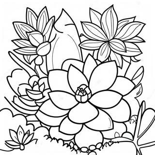 Page A Colorier De Jardin De Succulentes Colorees 32373-7054