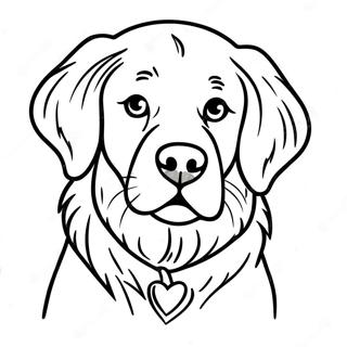 Retriever Doré Pages À Colorier