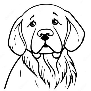 Page De Coloriage Golden Retriever 67431-14746