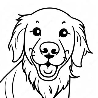 Page De Coloriage Golden Retriever Joueur 67432-14749