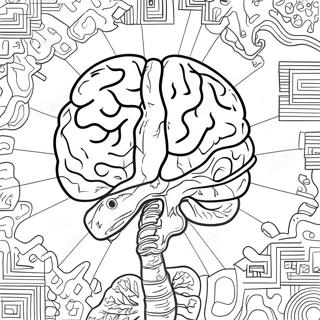 Page De Coloriage De Lanatomie Du Cerveau Realiste 69123 15141